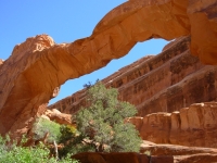 Wall Arch